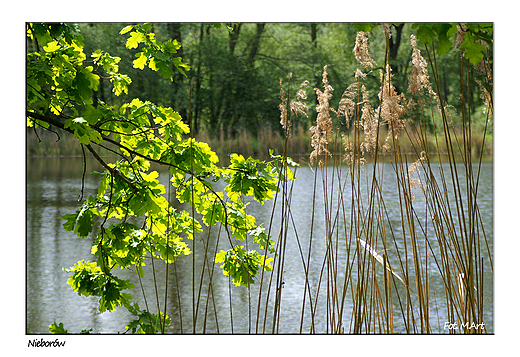 Nieborw - park