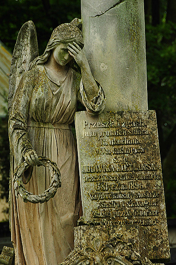 Cmentarz Stary w Kielcach