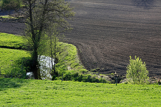 Staczyki, wiosenne pola