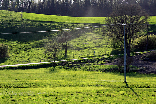 Staczyki, wiosenne pola