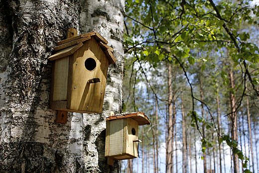 Wdzydze Kiszewskie - miniaturowa architektura drewniana w skansenie