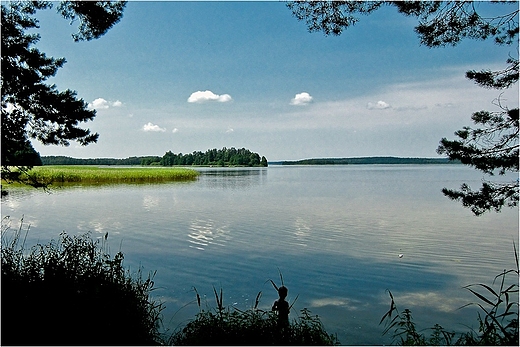 Jezioro Wigry - zatoka Piaski.