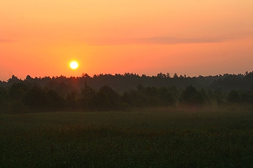 wschd nad Borowin