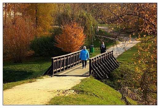 Kalisz - mostek w Parku Przyjani