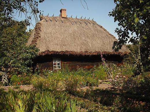 Skansen w Ciechanowcu. Jedna ze starych chaup