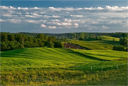 W Wigierskim Parku Narodowym.