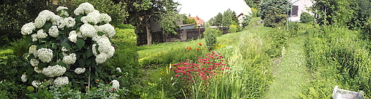 Panorama ogrodu