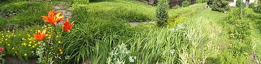 Panorama ogrodu