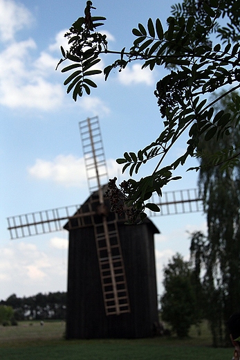 skansen w Maurzycach