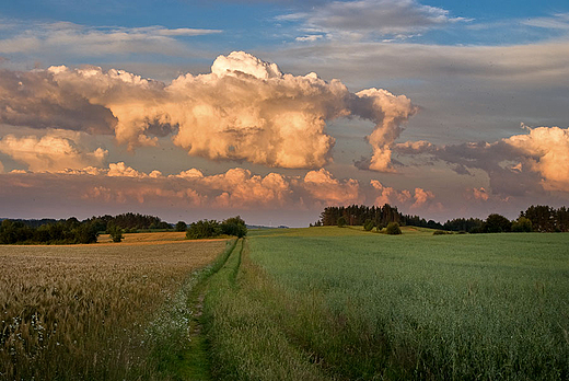 Suwalszczyzna, upalne popoudnie.