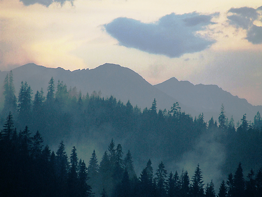 Widok na Tatry. Bukowina Tatrzaska