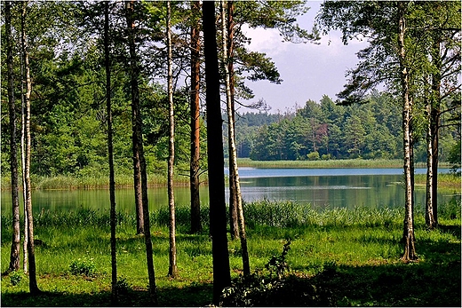 Jezioro Dugie Wigierskie.
