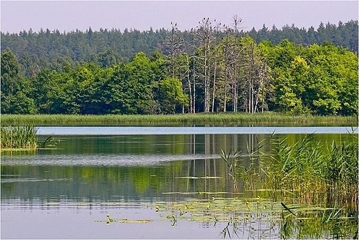 Jezioro Dugie Wigierskie.