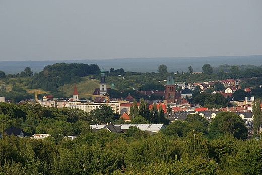 Trzebnica widok