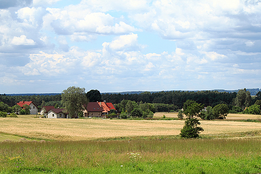 Kobyla Gra - Mylniew