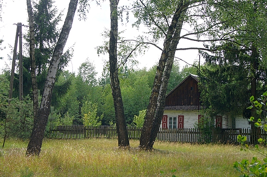 a moe tak,may biay domek na skraju lasu,