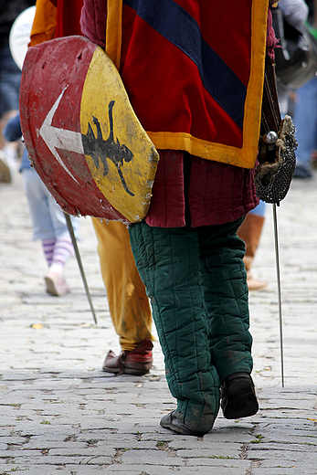 Oblenie Malborka 2012 - uczestnik imprezy