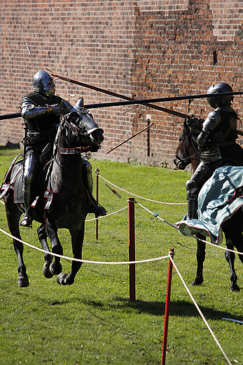 Oblenie Malborka 2012 - rycerski turniej konny joust