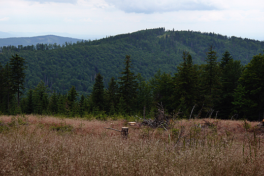 Beskid lski. Stow w pamie Klimczoka.