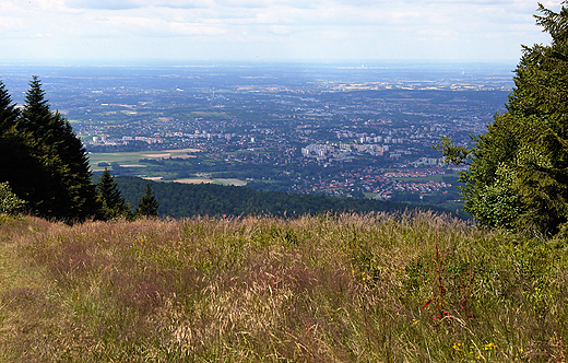 Beskid lski. Panorama Kotliny Owicimskiej ze szczytu Szyndzielni.