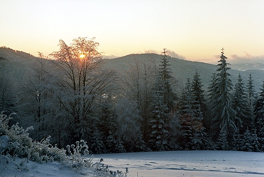 Widok ze zboczy Mogielicy