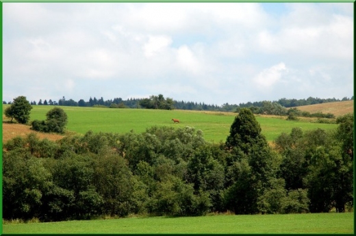 Beskid Niski