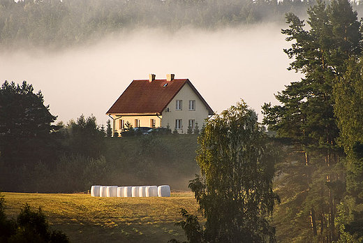 Suwalszczyzna. Siedlisko.