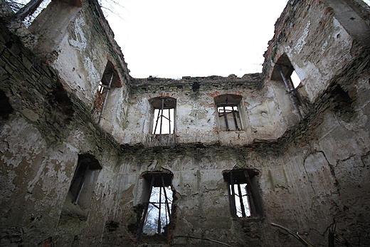 Ruiny zamku Stadnickich (XVI w.). Dbrwka Starzeska