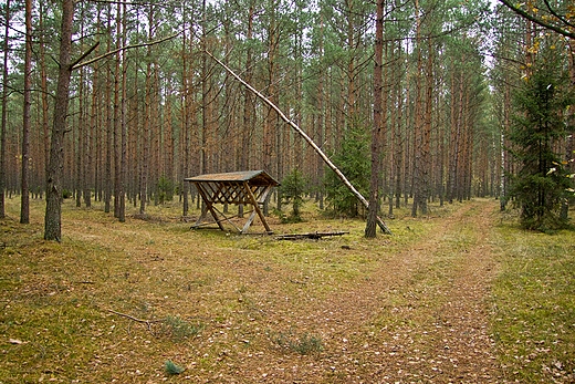 Panik. Okolice Mniszka