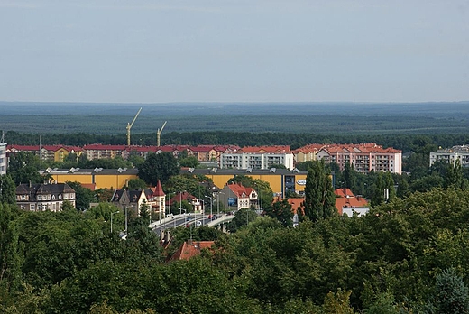 Widok