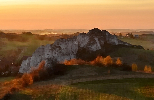 ysa Skaa Fiala - Jerzmanowice