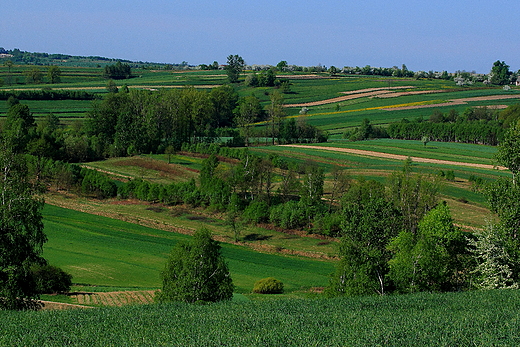 Jura - okolice Postaszowic.