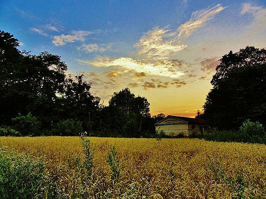 W kolorach zachodu-obrzea parku krajobrazowego Trzeszczany