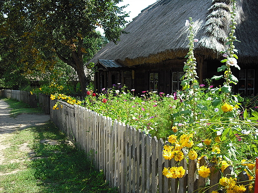 Skansen w Ciechanowcu. Jedna z zabytkowych chaup