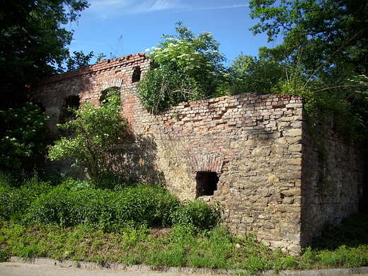 Ruiny ksicych zabudowa gospodarczych. Pszczyba