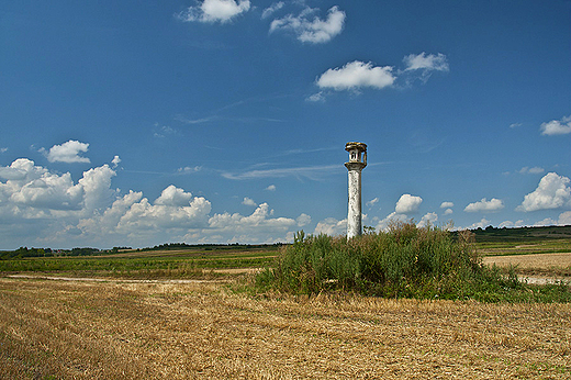 Ponidziaskie witki - kapliczka Mki Paskiej w Sukowicach