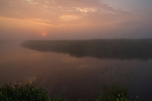 Narew w Zotorii