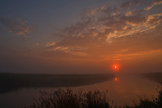 Narew w Zotorii