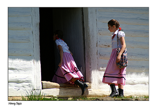 Nowy Scz - skansen