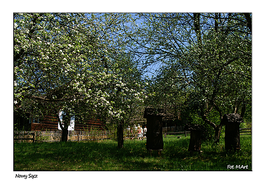 Nowy Scz - skansen