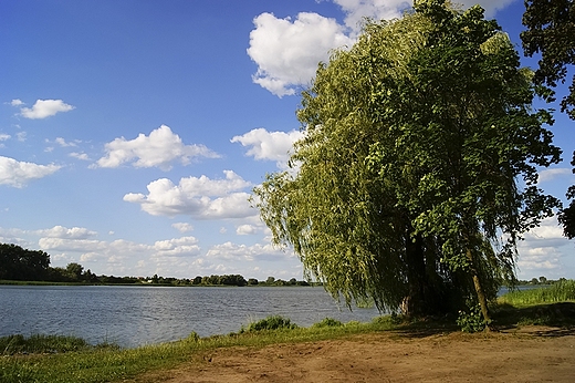Słupca