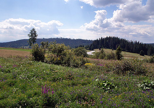 Orawa. Panorama spod Zubrzycy Grnej.