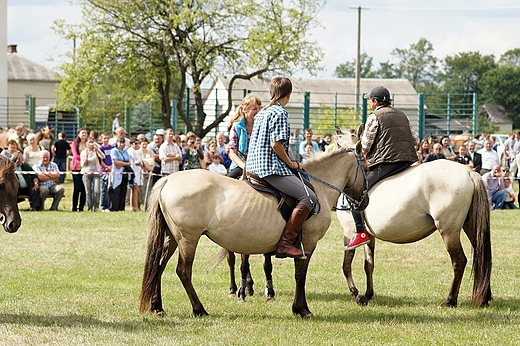 v Powiatowa wystawa koni zimnokrwistych Tuczna 2012