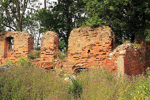Ruiny murw obronnych