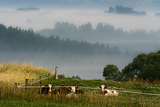 Suwalski Park Krajobrazowy