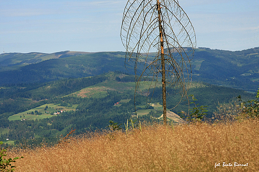 Beskid lski