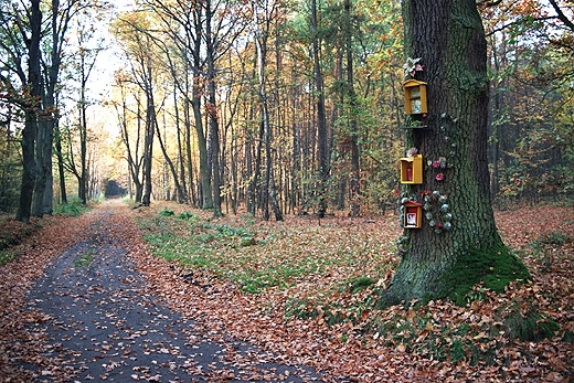 Bolimowski Park Krajobrazowy. Mazowsze