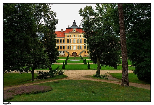 Rogalin - barokowo-klasycystyczny paac Raczyskich _ widok z kopca widokowego