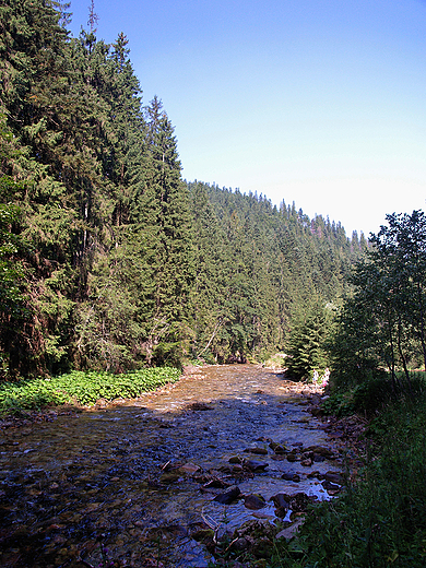 Zakopane. Dolina Kocieliska.