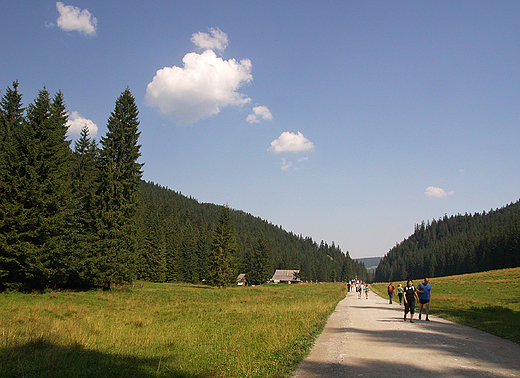 Zakopane. Dolina Kocieliska.